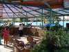 Desert Rose Resort 